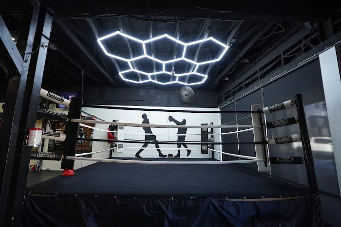 Shark Boxing Club Picture 3