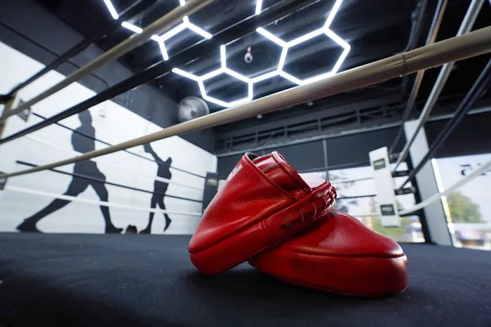 Shark Boxing Club Picture 4