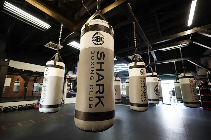 Shark Boxing Club Picture 7
