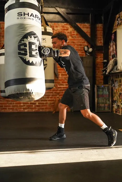 Shark Boxing Club Picture 6