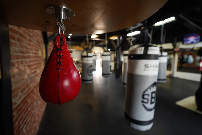 Shark Boxing Club Picture 5