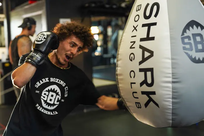 Shark Boxing Club Picture 9