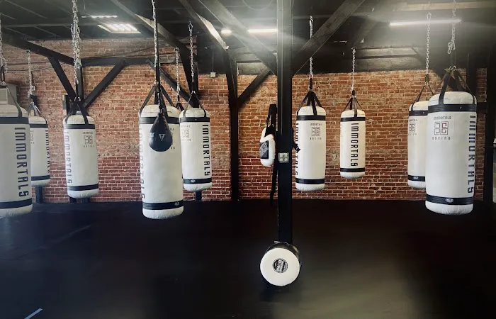 Shark Boxing Club Picture 8