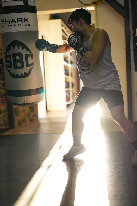 Shark Boxing Club Picture 2