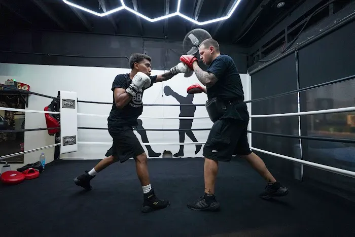 Shark Boxing Club Picture 1