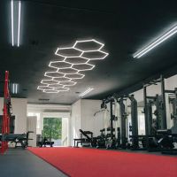 Lion Heart Fitness ico