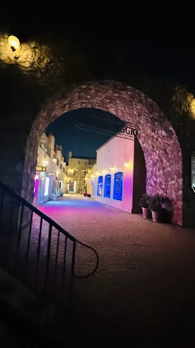 Lagree·ology Fitness Studio and Wellness Center Picture 3