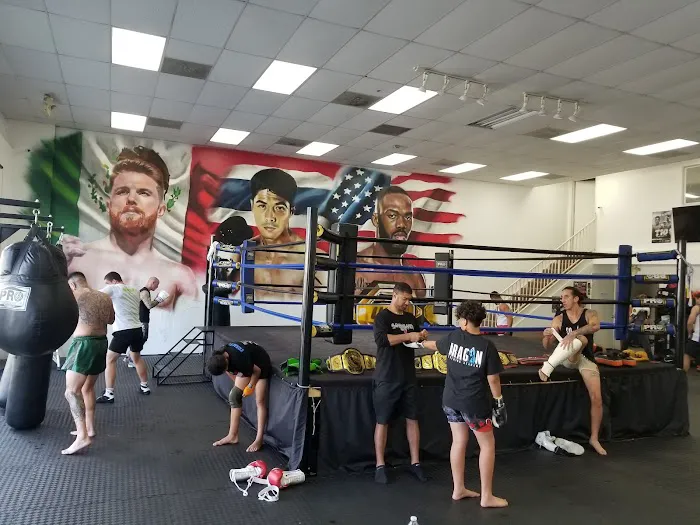 Aragon Training Academy - Muay Thai Picture 9