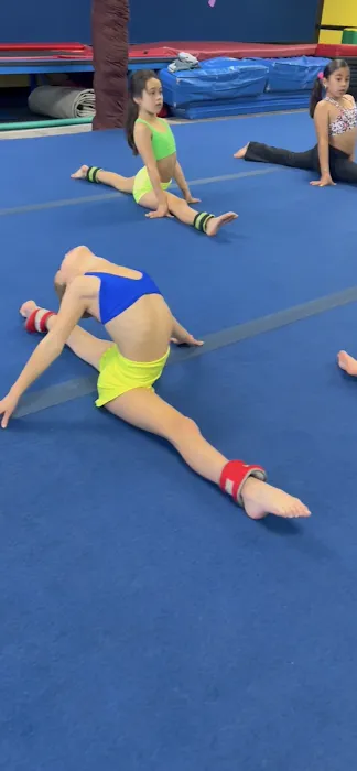 StrengthFlex Athletics Picture 3