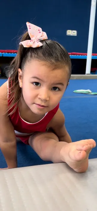 StrengthFlex Athletics Picture 8