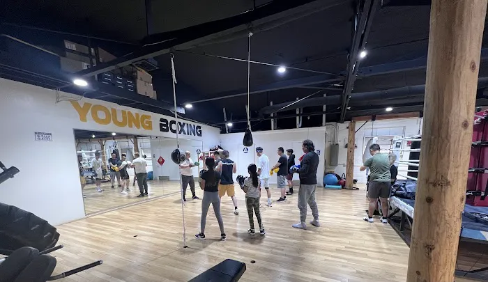 Young Boxing Picture 3