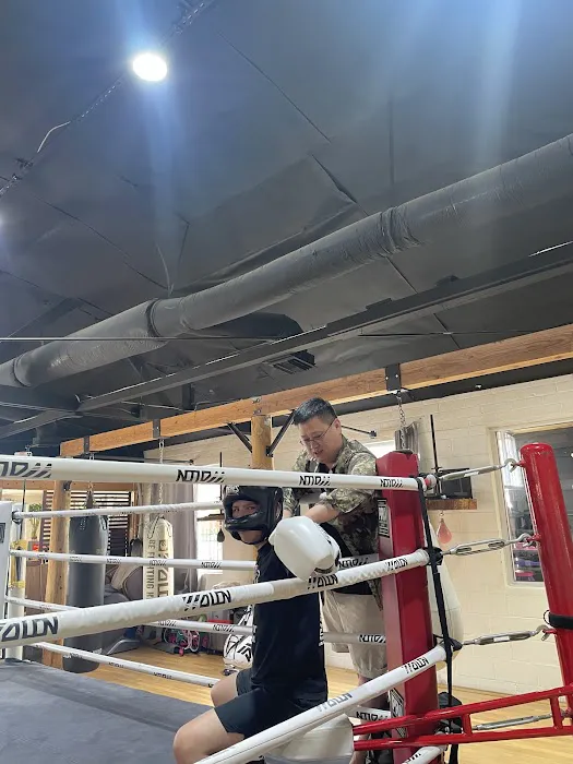 Young Boxing Picture 5