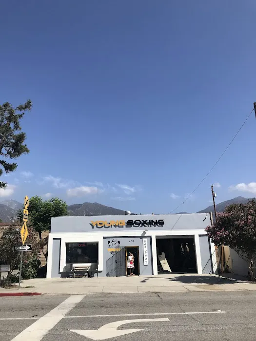 Young Boxing Picture 6