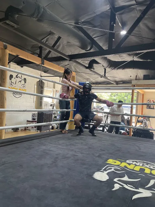 Young Boxing Picture 7