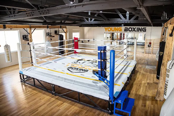 Young Boxing Picture 1