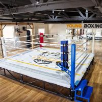Young Boxing ico
