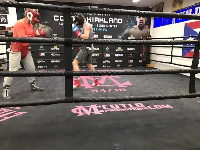 Young Boxing Picture 9