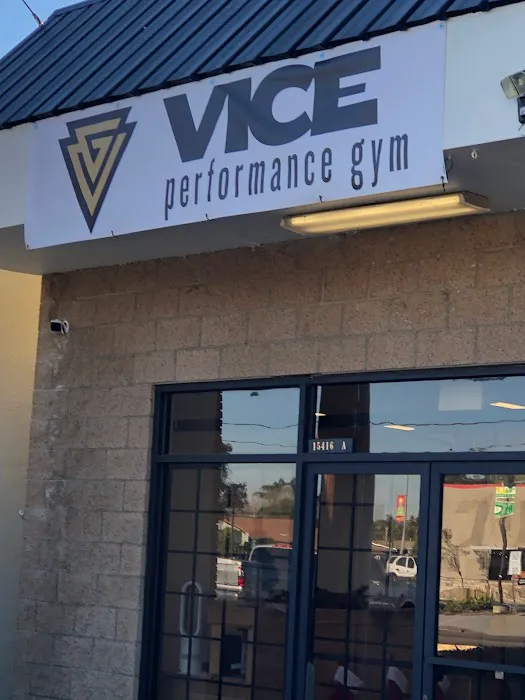 Vice Performance Gym Picture 1