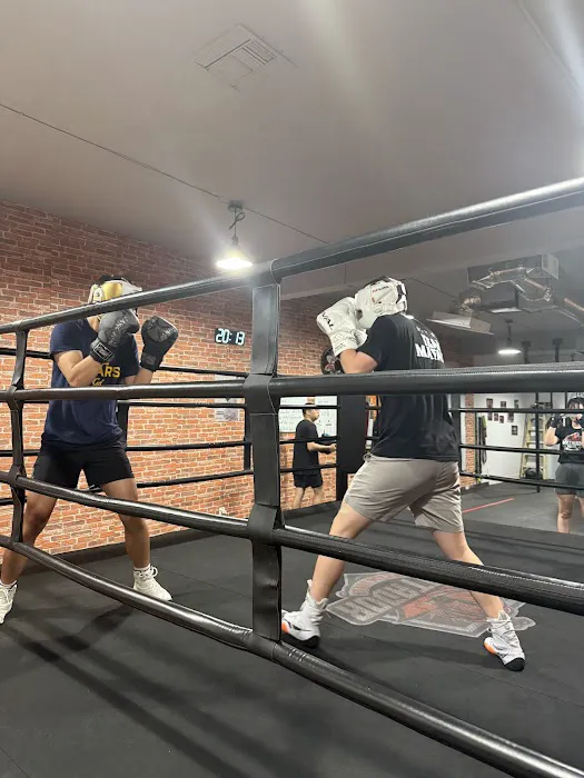 Matador Boxing Picture 4