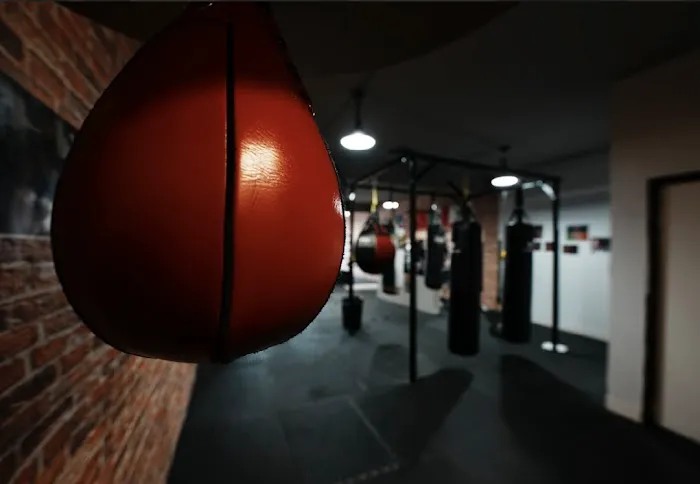 Matador Boxing Picture 8