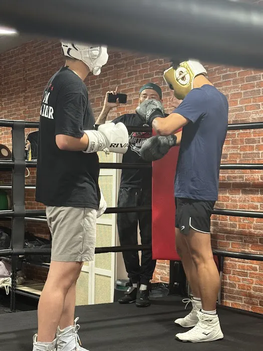 Matador Boxing Picture 1