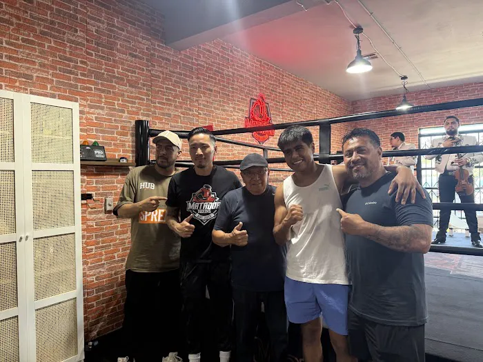 Matador Boxing Picture 3