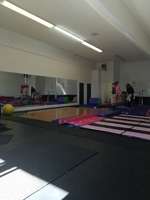 GymRatz L.A. Picture 1