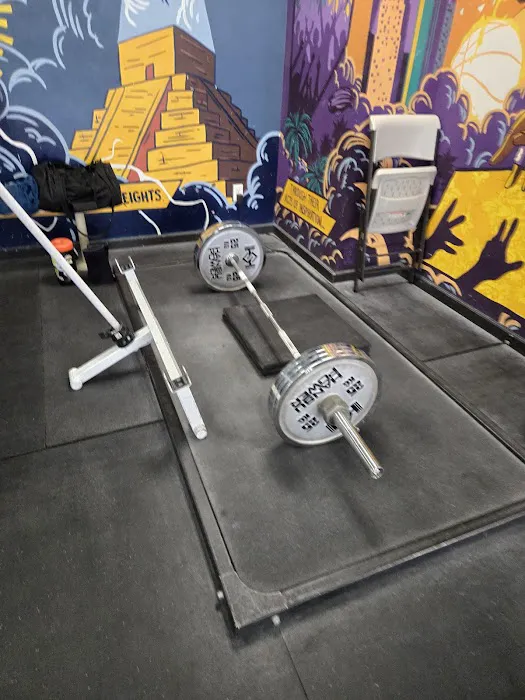 Fuerza Gym Picture 3