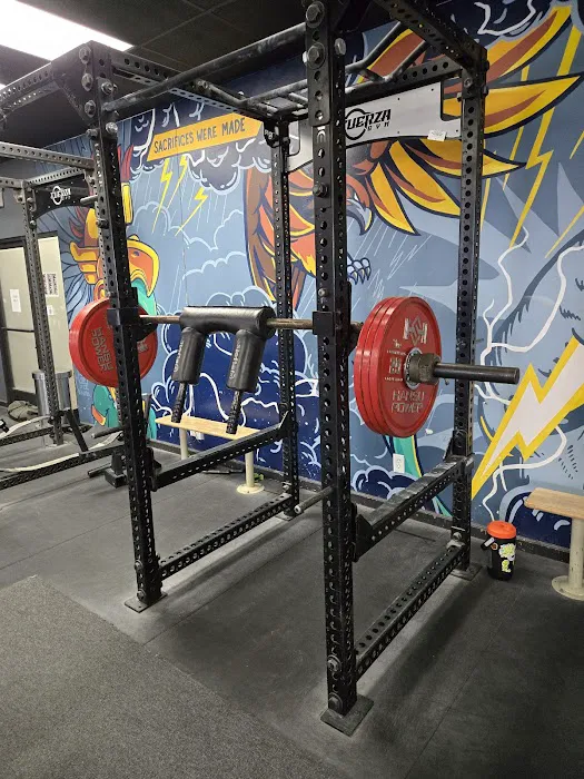 Fuerza Gym Picture 5