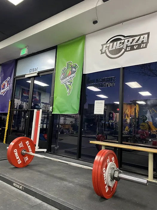 Fuerza Gym Picture 1