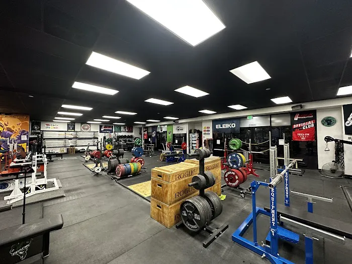 Fuerza Gym Picture 9