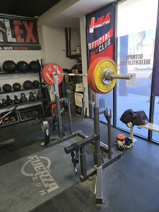 Fuerza Gym Picture 6