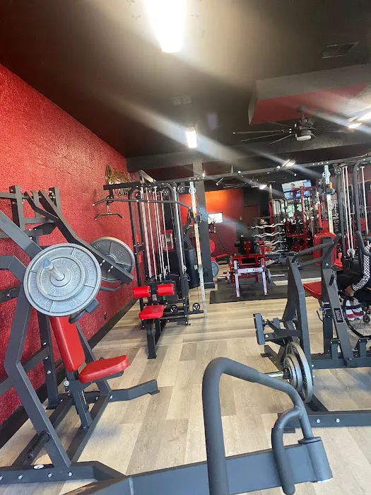 PAINFUL PLEASURE FITNESS Picture 1