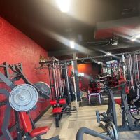 PAINFUL PLEASURE FITNESS ico