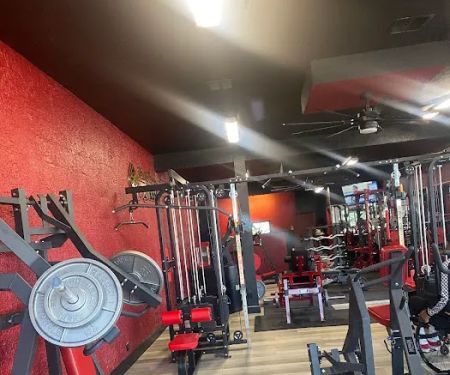 PAINFUL PLEASURE FITNESS