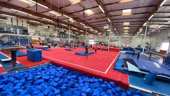 Scats Gymnastics Picture 2