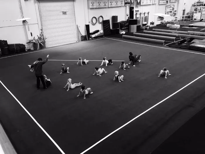 Scats Gymnastics Picture 4