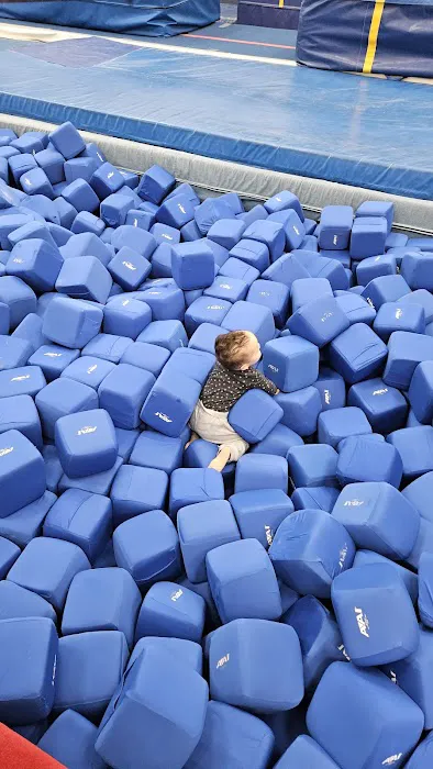 Scats Gymnastics Picture 7