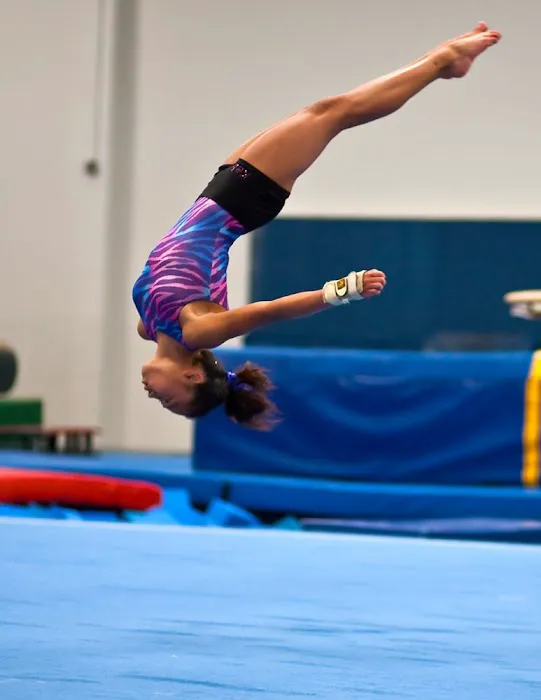 Scats Gymnastics Picture 6