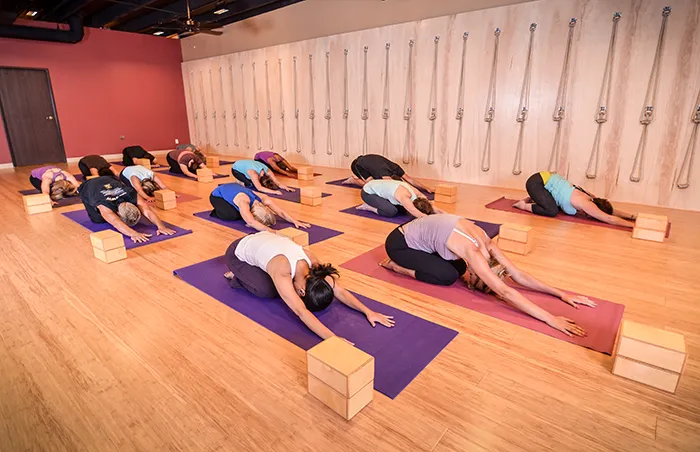 Yoga Sol Studio Picture 3