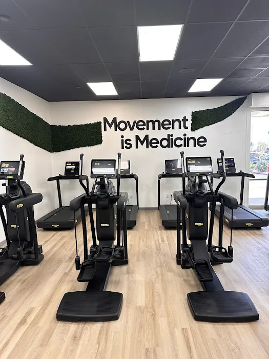 Always In Motion Picture 3