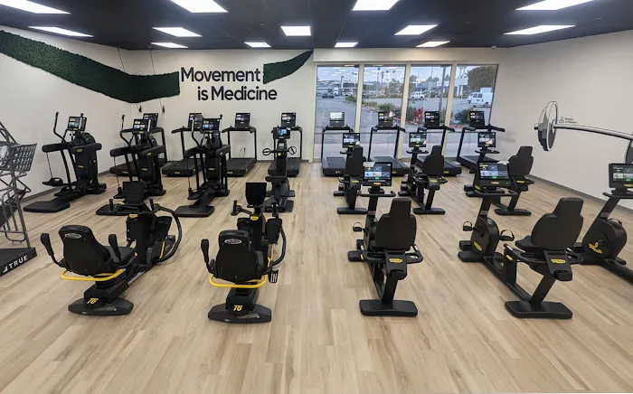 Always In Motion Picture 4