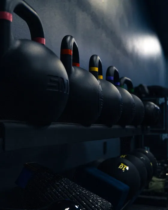 Elite Fitness & Wellness Picture 1