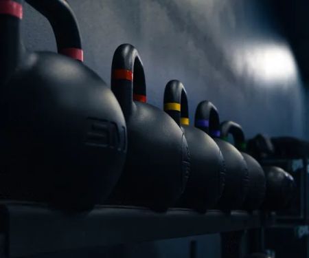 Elite Fitness & Wellness