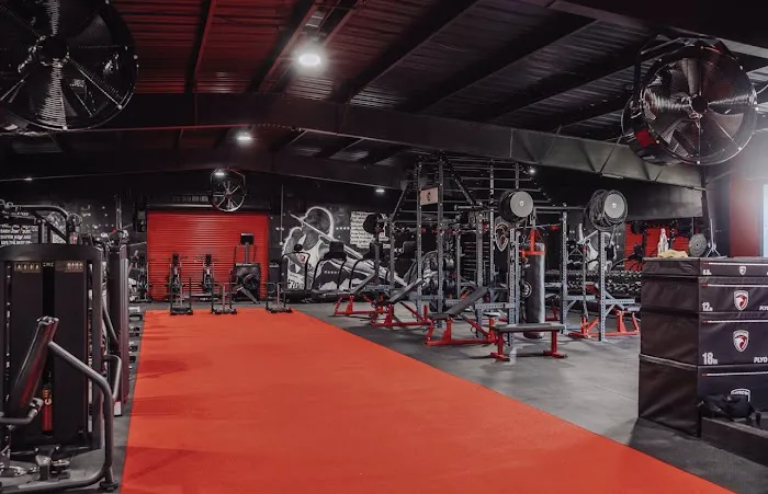 EBS Performance Picture 5