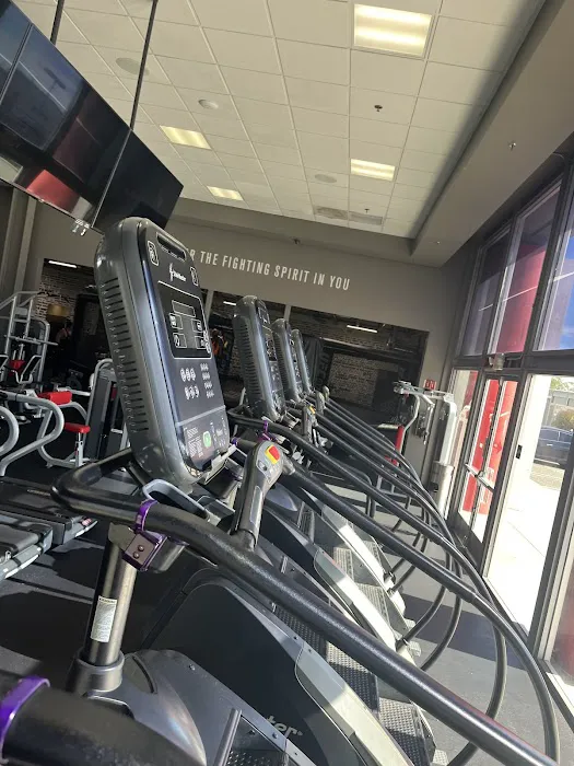 UFC GYM Costa Mesa Picture 8