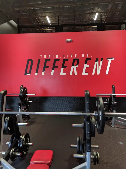 UFC GYM Costa Mesa Picture 5