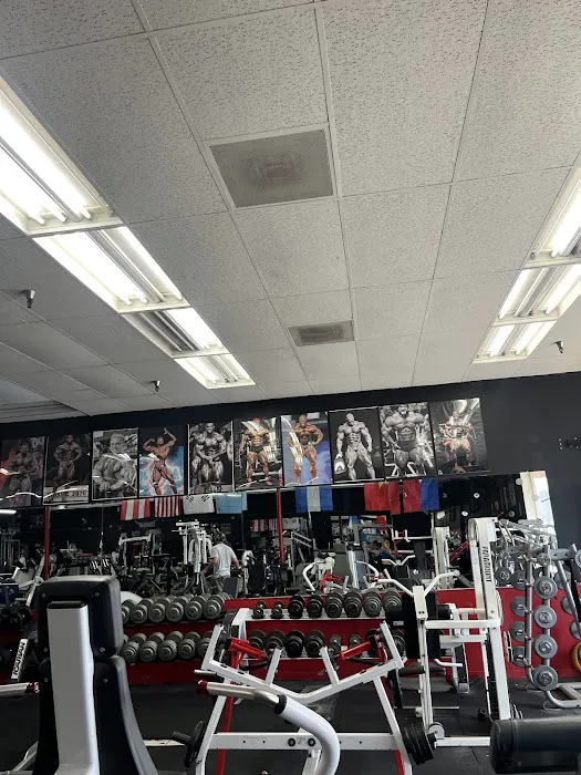 Revival Fitness Picture 4