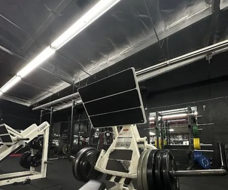 Revival Fitness