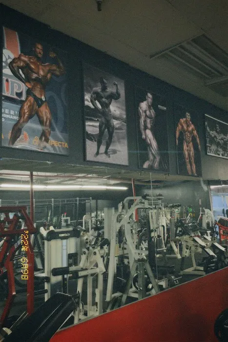 Revival Fitness Picture 2